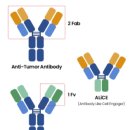 파스칼바이오사이언스 이미지