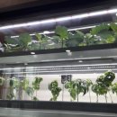 대안팜 주식회사 이미지