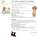 아지케어 이미지