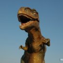 ［여수 편］세계문화유산 등록 준비하는 공룡의섬 사도에서 휴식을 이미지