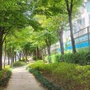 [취소]11/21(금)11시/항동철길&amp; 푸른수목원 이미지