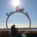 월드컵북로 221 자전거대여소 옆 | 부산 을숙도철새공원 PART2, 에코센터에서 출발 철새생태공원 돌아본 후기(2020년 12월)