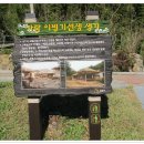 자식이 있어 행복한게 맞지요? 이미지