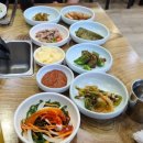 남강오리알 이미지