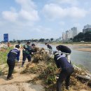 하천(유등천3) 이미지