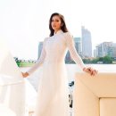 수프라미스 이미지