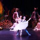 SAC ON SCREEN 발레 심청 이미지