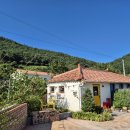 연화무역 이미지