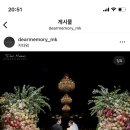 w 06. 어두운홀 본식스냅 디어메모리 계약후기(짝꿍코드O, 2만원대 기프티콘 증정)