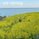 석출민박 | 경남 남해 가볼만한곳 여행코스 다랭이마을 (벚꽃, 유채꽃 실시간, 주차)