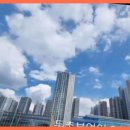 부엉이공인중개사사무소 이미지