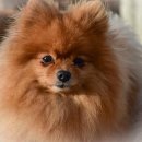 연산메디컬센터 앞 이미지