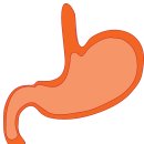 예솔한의원 이미지