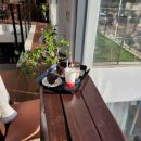 댕댕이 카페 | [파주 분위기 좋은 카페] 댕댕이랑 함께 힐링! '브리즈 힐' 방문 후기