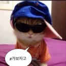 노래미 이미지
