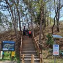 저도 비치로드 용두산 (지리산 막걸리학교 시산제 산행) 이미지