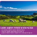 펫마트대전