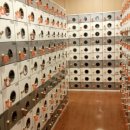 중흥목욕탕 이미지