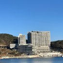 [거제 숙소] 한화리조트 거제 벨버디어 - 디럭스 원룸 호텔형 후기