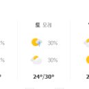 Jun fitted 이미지