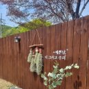엘프개님스