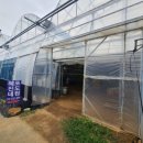 혜진네포도원 이미지