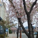 죽림로 이미지