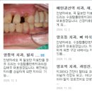 수원탑플란트치과의원 이미지