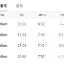 본본 네이버블로그