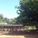 배꼽농원 이미지