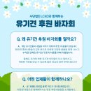 라우메어