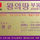 힐스왕공인중개사사무소 네이버블로그
