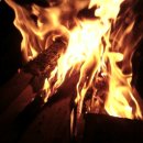 2009 마라톤대회 일정표 이미지