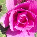 명성행정사사무소 이미지