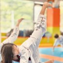 용인대코리아태권도 이미지