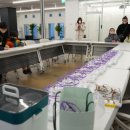 날아라 드론(조종과정) 이미지