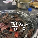 꼼짱