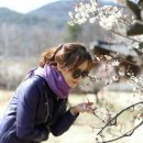 성주이씨 열녀문 | [경북 성주군] 회연서원