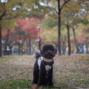 성서아울렛공원 이미지