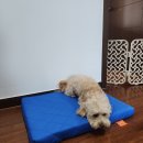 청정온돌집 이미지