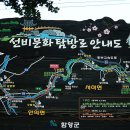 농월정주차장 이미지