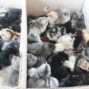 청계유통 이미지