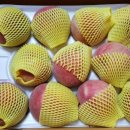 영덕싱싱농원 이미지