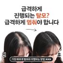 리게인프로젝트 이미지