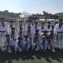 청지회 태권도 이미지