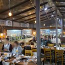 달빛고기 이미지