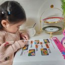 문해력쑥쑥7세 이미지