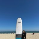 더 타이어샵 송정점 | 부산 송정서핑추천 부산액티비티 밤서프