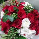 가나화원 이미지