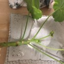 오복농장 이미지